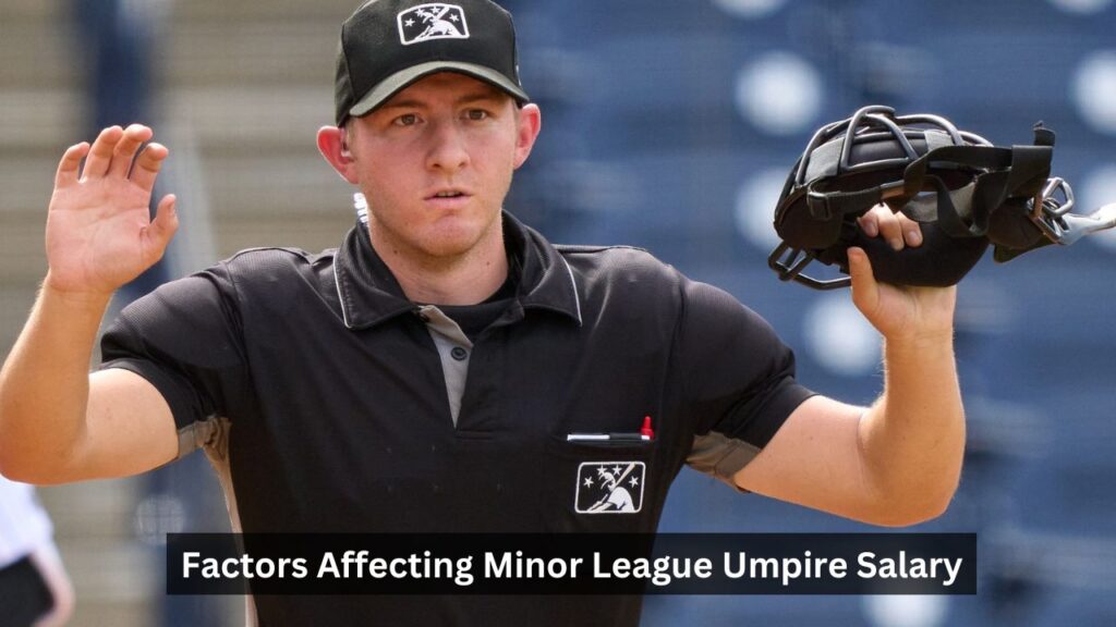 Minor League Umpire Salary